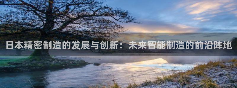 彩神合法吗.是国家认可的吗：日本精密制造的发展与创新：未来智能制造的前沿阵地
