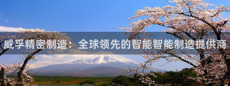 彩神8彩平台客服：威孚精密制造：全球领先的智能智能制造提供商