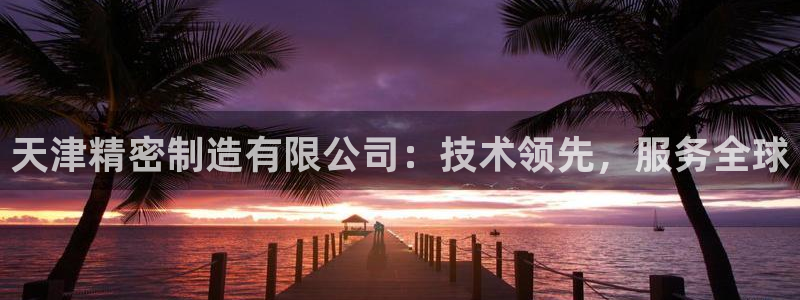 下载彩神争霸谁与我争锋：天津精密制造有限公司：技术领先，服务全球