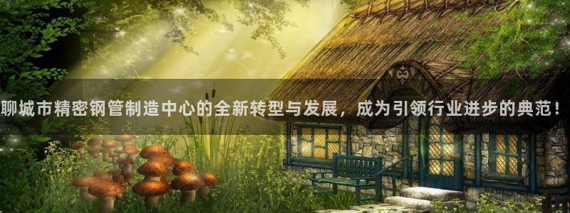 彩神8购彩-购彩大厅：聊城市精密钢管制造中心的全新转型与发展，成为引领行业进步的典范！