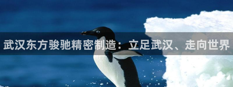 彩神x平台靠什么盈利：武汉东方骏驰精密制造：立足武汉、走向世界