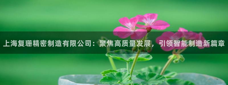 彩神v8手机客户端下载：上海复珊精密制造有限公司：聚焦高质量发展，引领智能制造新篇章