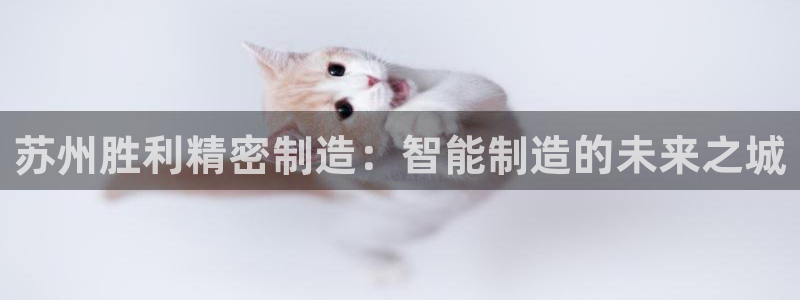 彩神vll购彩大厅大众：苏州胜利精密制造：智能制造的未来之城
