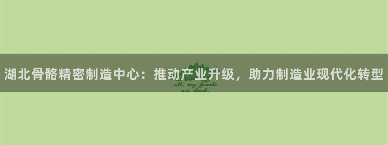 彩神v8下载app：湖北骨骼精密制造中心：推动产业升级，助力制造业现代化转型