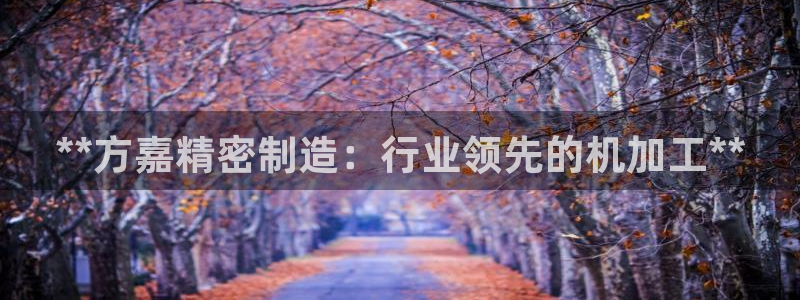 新版彩神v8登录不上去：**方嘉精密制造：行业领先的机加工**