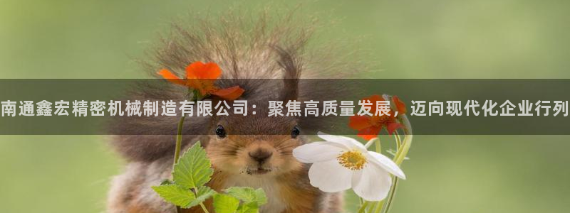 下载彩神乐发V1：南通鑫宏精密机械制造有限公司：聚焦高质量发展，迈向现代化企业行列