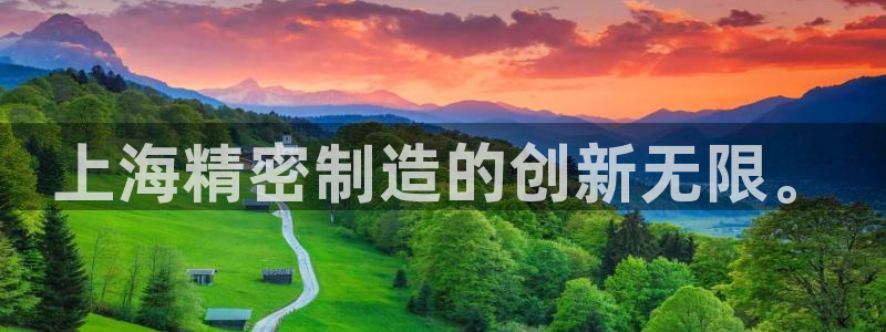 彩神是真的吗：上海精密制造的创新无限。