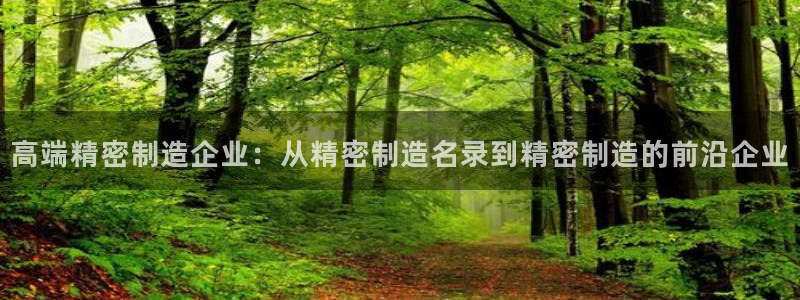 彩神VII官方版：高端精密制造企业：从精密制造名录到精密制造的前沿企业