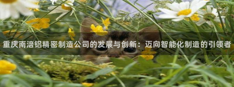 彩神vll官网在线登录：重庆南涪铝精密制造公司的发展与创新：迈向智能化制造的引领者