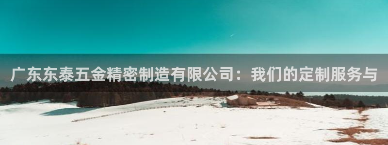 下载彩神通关注金码：广东东泰五金精密制造有限公司：我们的定制服务与