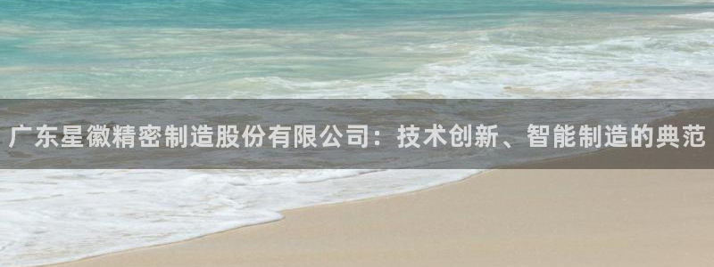 彩神VI首页：广东星徽精密制造股份有限公司：技术创新、智能制造的典范