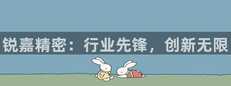 天天赢彩神：锐嘉精密：行业先锋，创新无限