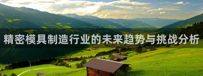 彩神平台是什么套路：精密模具制造行业的未来趋势与挑战分析