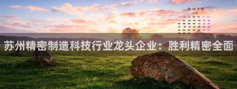 彩神VI首页：苏州精密制造科技行业龙头企业：胜利精密全面