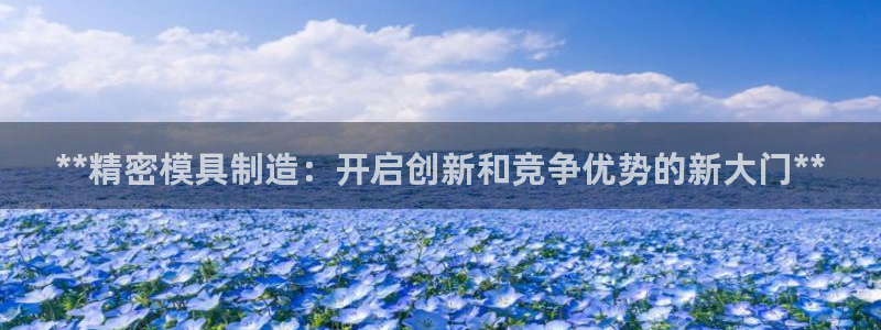 所有彩神购买首页中心：**精密模具制造：开启创新和竞争优势的新大门**