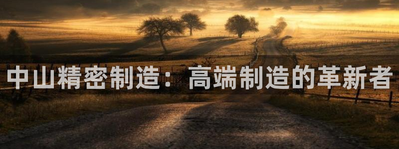 彩神v8是真的挣钱吗安全吗：中山精密制造：高端制造的革新者