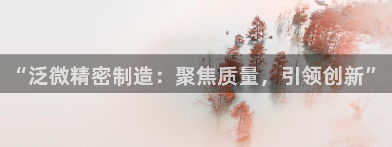 彩神viii是正规平台吗?：“泛微精密制造：聚焦质量，引领创新”