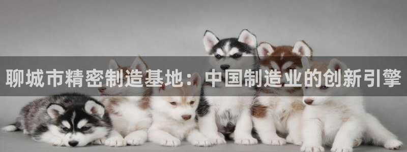 彩神大发云：聊城市精密制造基地：中国制造业的创新引擎