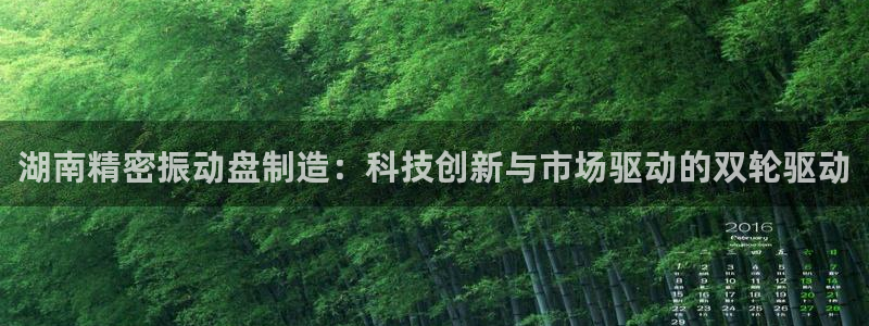 彩神赢钱了吗：湖南精密振动盘制造：科技创新与市场驱动的双轮驱动