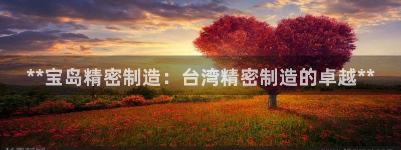 彩神8官网500：**宝岛精密制造：台湾精密制造的卓越**