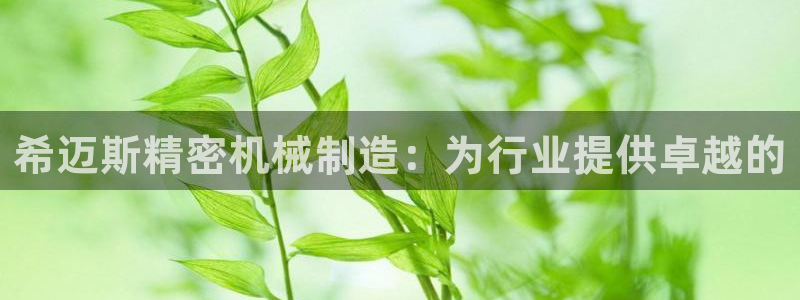 彩神平台：希迈斯精密机械制造：为行业提供卓越的