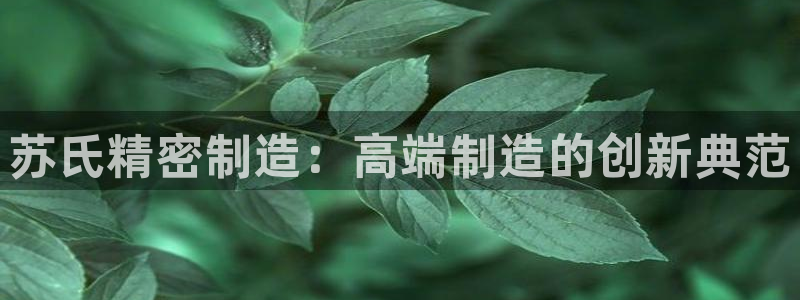 彩神网可以赚钱是真的吗：苏氏精密制造：高端制造的创新典范