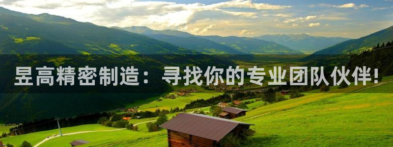 彩神旗下有哪些平台可以看：昱高精密制造：寻找你的专业团队伙伴!