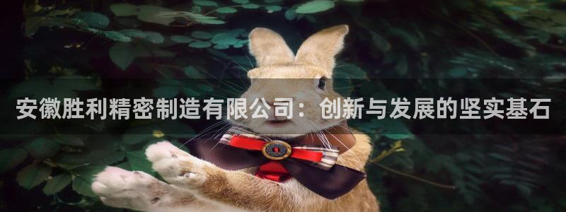 彩神Vii购彩-购彩大厅：安徽胜利精密制造有限公司：创新与发展的坚实基石