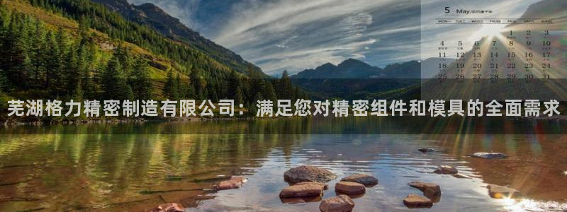 彩神vip购彩大厅下载：芜湖格力精密制造有限公司：满足您对精密组件和模具的全面需求