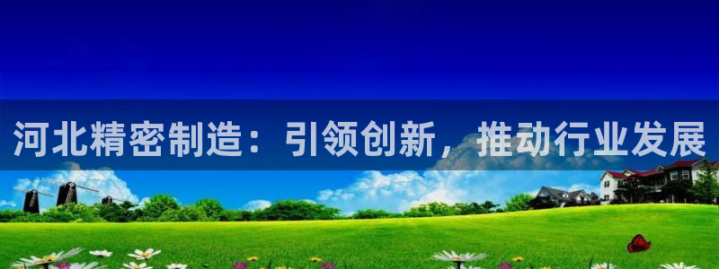 彩神V集团有限公司：河北精密制造：引领创新，推动行业发展