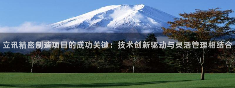 彩神是怎样一个平台赚钱的：立讯精密制造项目的成功关键：技术创新驱动与灵活管理相结合