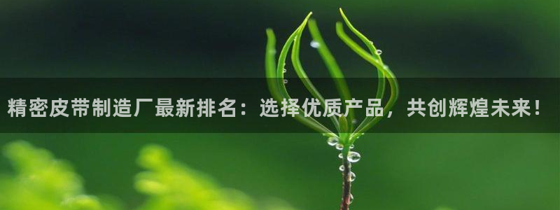 彩神广告有限公司：精密皮带制造厂最新排名：选择优质产品，共创辉煌未来！