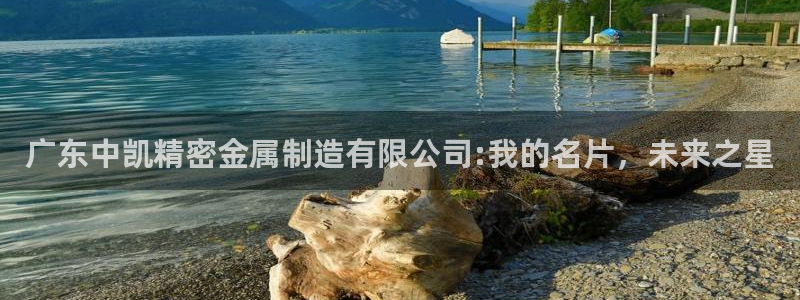 彩神v8下载：广东中凯精密金属制造有限公司:我的名片，未来之星