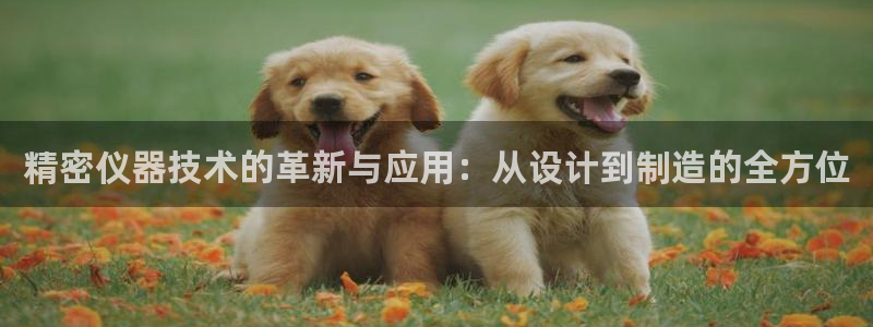 彩神v8是真的挣钱吗：精密仪器技术的革新与应用：从设计到制造的全方位