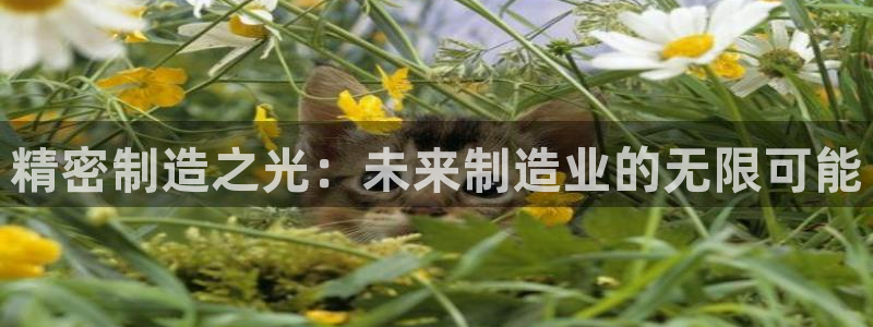 彩神购彩购彩大厅入口v：精密制造之光：未来制造业的无限可能