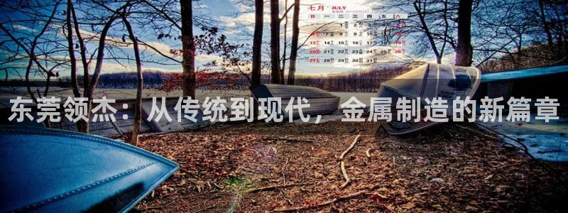 彩神平台是什么套路：东莞领杰：从传统到现代，金属制造的新篇章