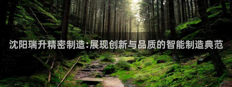 彩神v大众娱乐：沈阳瑞升精密制造:展现创新与品质的智能制造典范