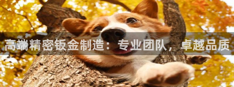 彩神v8是真的挣钱吗安全吗：高端精密钣金制造：专业团队，卓越品质