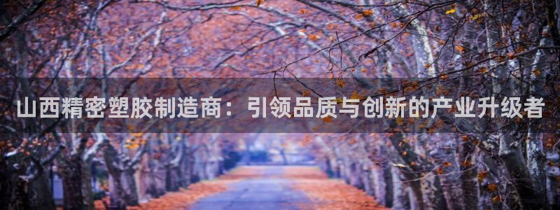 彩神vii手游下载：山西精密塑胶制造商：引领品质与创新的产业升级者