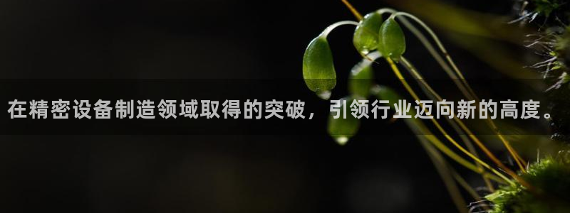 彩神app赚钱是真是假：在精密设备制造领域取得的突破，引领行业迈向新的高度。