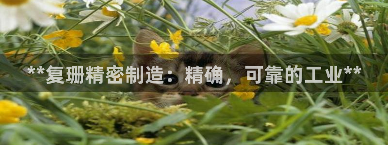 彩神v8几个版本：**复珊精密制造：精确，可靠的工业**