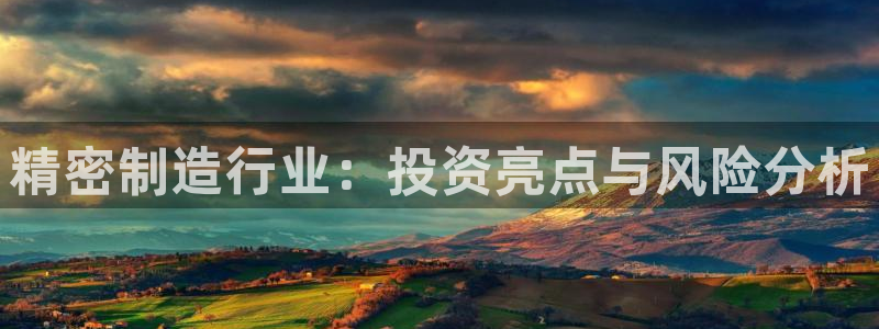 彩神vll购彩大厅大众：精密制造行业：投资亮点与风险分析