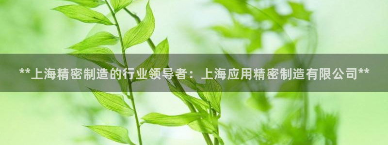 彩神v8下载：**上海精密制造的行业领导者：上海应用精密制造有限公司**