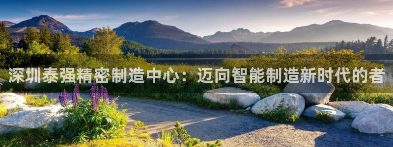 彩神数码科技有限公司：深圳泰强精密制造中心：迈向智能制造新时代的者