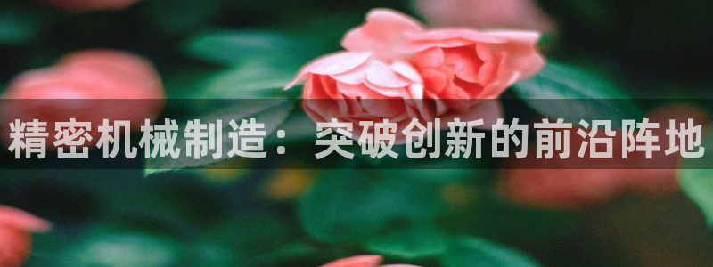 在彩神网输了六万多怎么拿回来