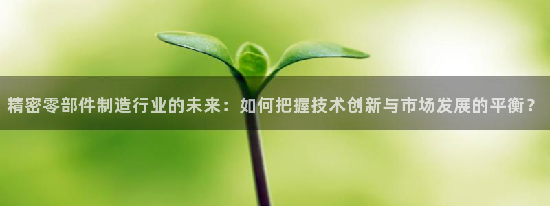 彩神vll首页企业文化：精密零部件制造行业的未来：如何把握技术创新与市场发展的平衡？