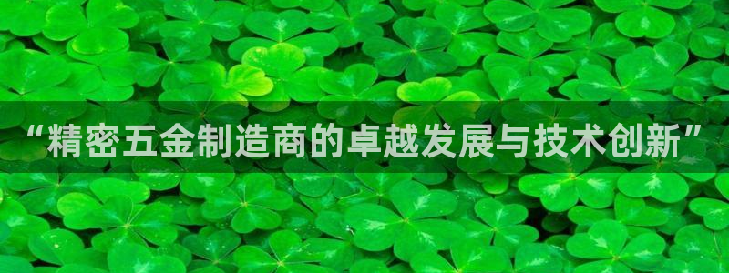 彩神购彩-购彩大厅入口36fr：“精密五金制造商的卓越发展与技术创新”