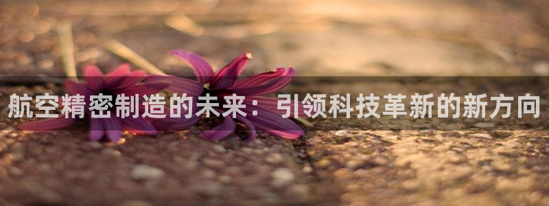 彩神8app官方下载：航空精密制造的未来：引领科技革新的新方向