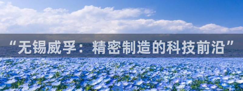 彩神购彩-购彩大厅入口500：“无锡威孚：精密制造的科技前沿”