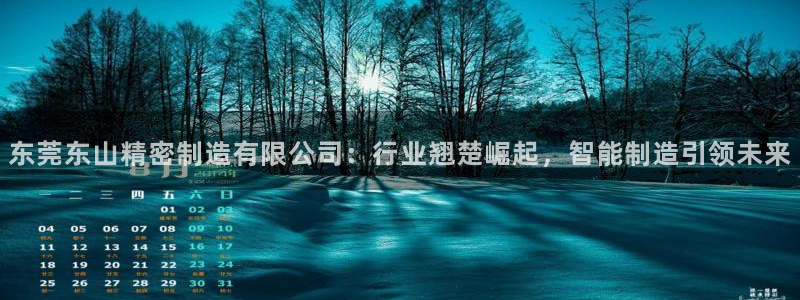 彩神v大众娱乐：东莞东山精密制造有限公司：行业翘楚崛起，智能制造引领未来